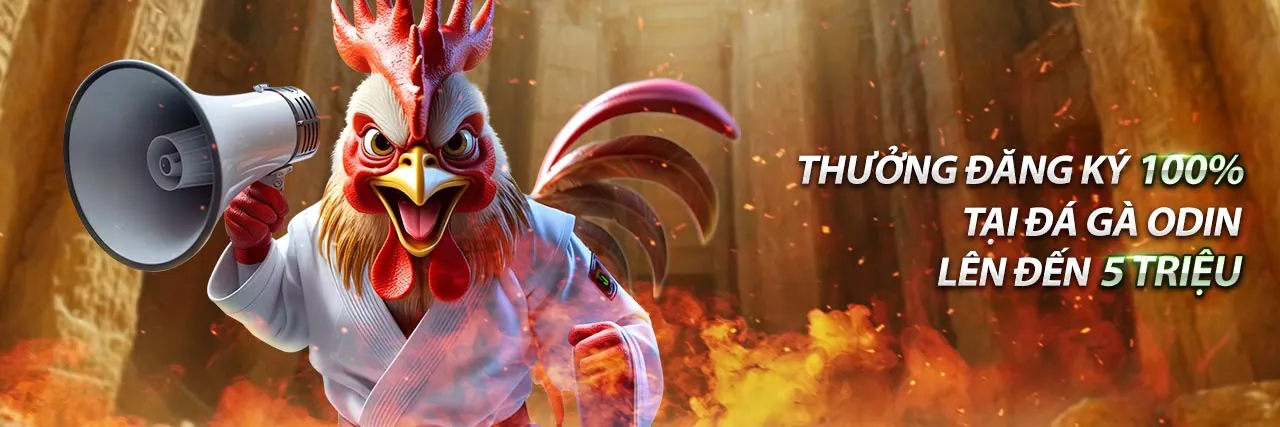 Hình ảnh giới thiệu go666 app - Nền tảng giải trí trực tuyến hàng đầu